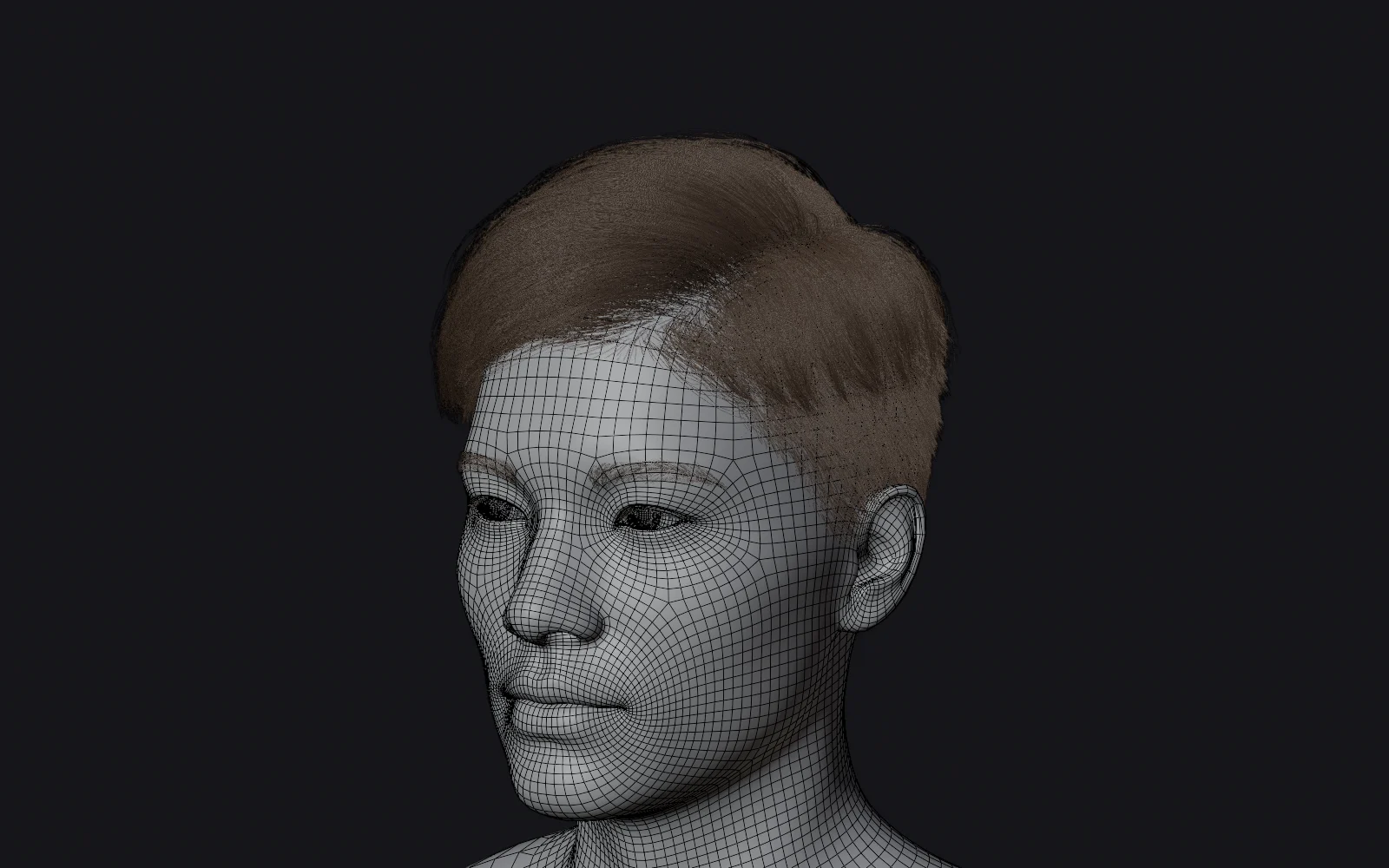 Particle hair