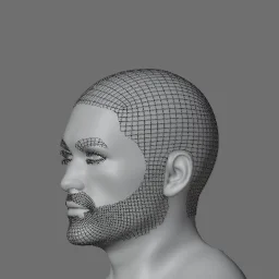 haircards_haircap_only